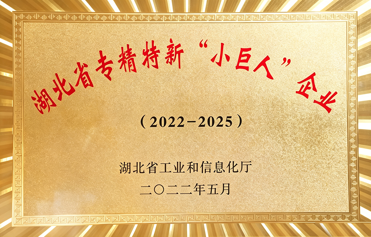 湖北省专精特新"小巨人”企业